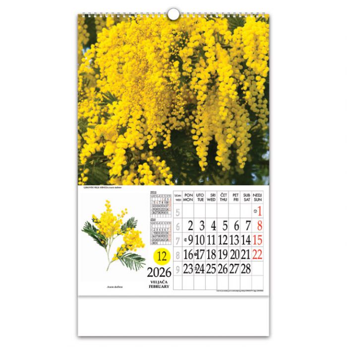 KALENDAR "LJEKOVITO BILJE" S ROTACIJSKIM KRUGOM, SPIRALA, NIKOPROM