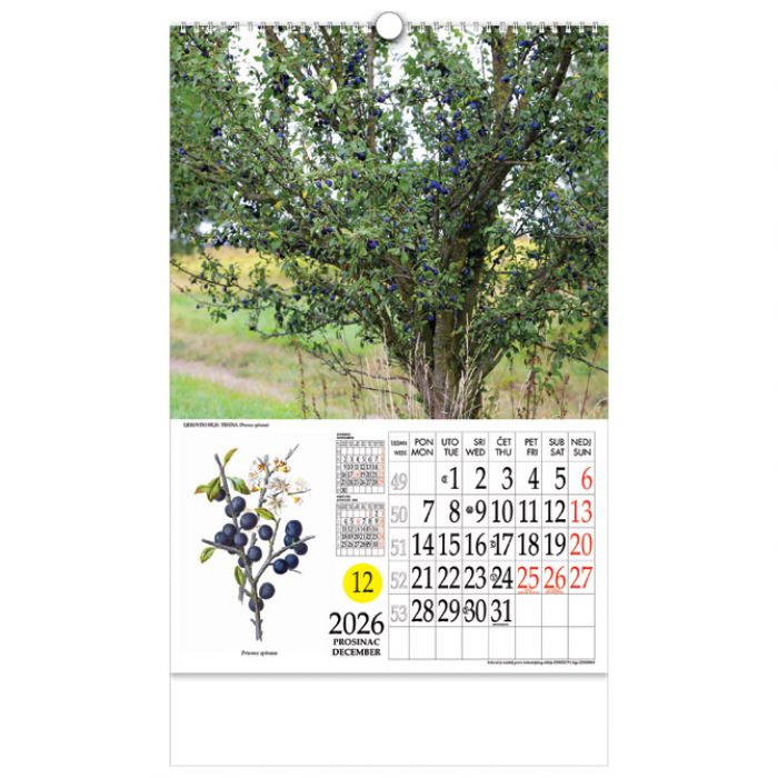 KALENDAR "LJEKOVITO BILJE" S ROTACIJSKIM KRUGOM, SPIRALA, NIKOPROM