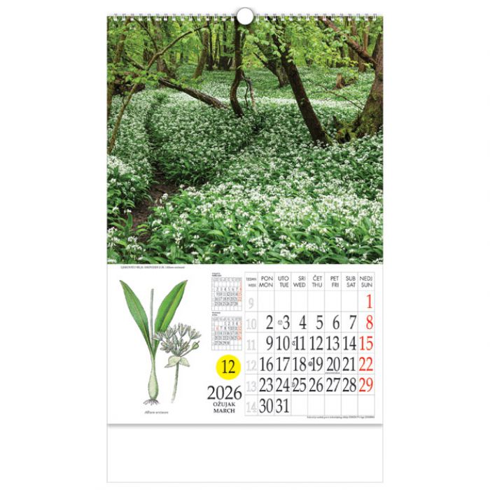 KALENDAR "LJEKOVITO BILJE" S ROTACIJSKIM KRUGOM, SPIRALA, NIKOPROM