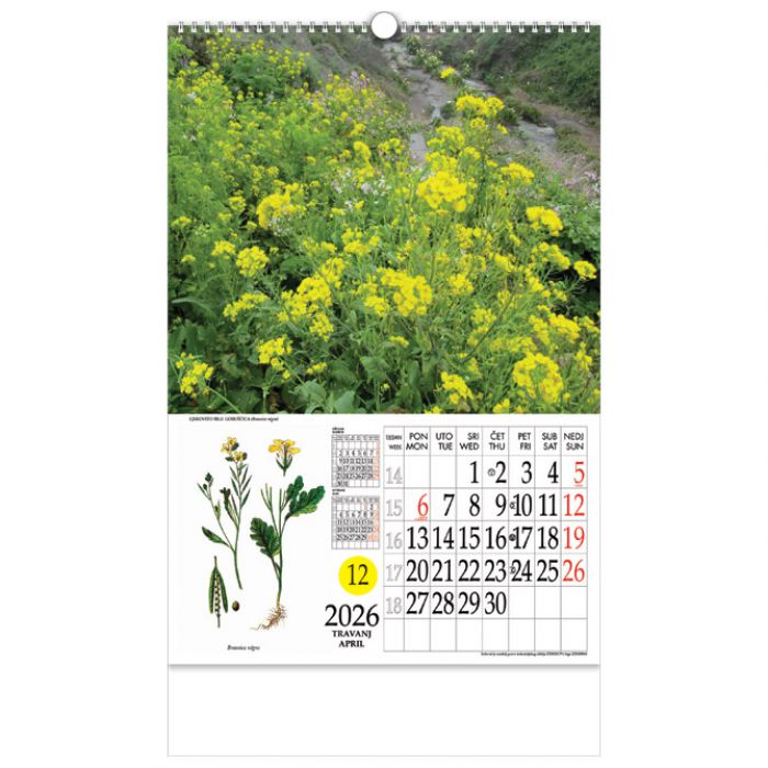 KALENDAR "LJEKOVITO BILJE" S ROTACIJSKIM KRUGOM, SPIRALA, NIKOPROM