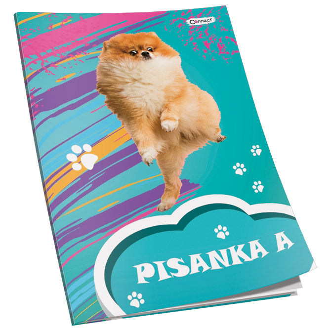 OBRAZAC ŠKOLSKI PISANKA "A" ZA 1RAZRED PREMIUM CONNECT GIRL