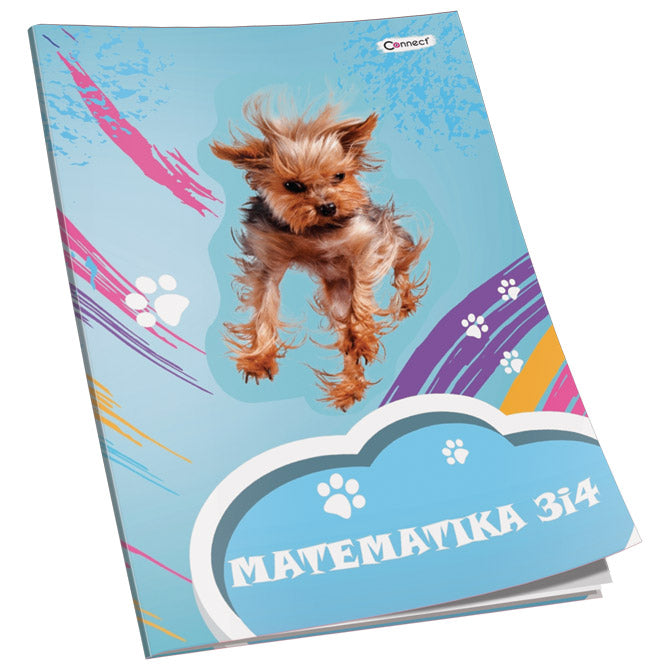 OBRAZAC ŠKOLSKI MATEMATIKA ZA 3 I 4RAZRED PREMIUM CONNECT GIRL