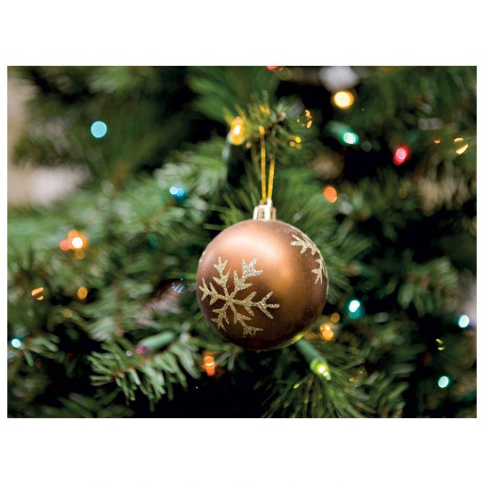 VJEŠALICE ZA KUGLICE/JAJA 25 MM PK25 KNORR PRANDELL 21-2930307 SREBRNE
