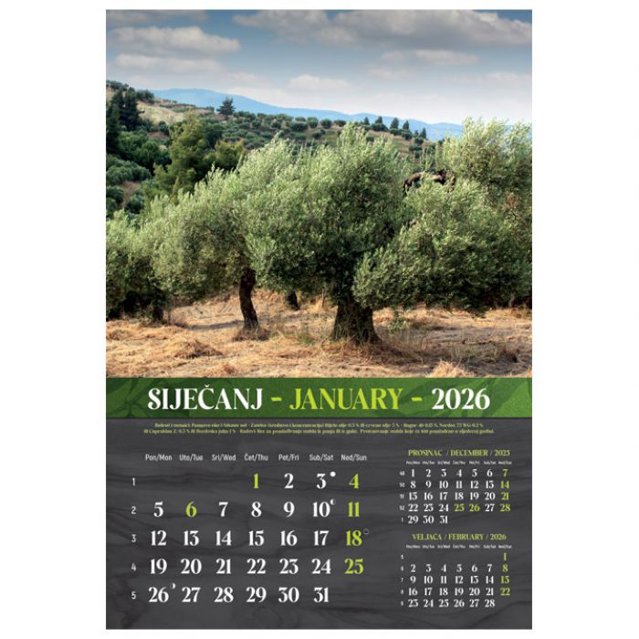 KALENDAR "MASLINE 2026" 13 LISTOVA, SPIRALA