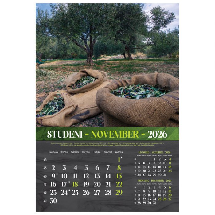 KALENDAR "MASLINE 2026" 13 LISTOVA, SPIRALA