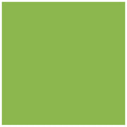 PAPIR U BOJI B1 200G BRISTOL COLOR PK10 CONNECT 230 PISTACIO