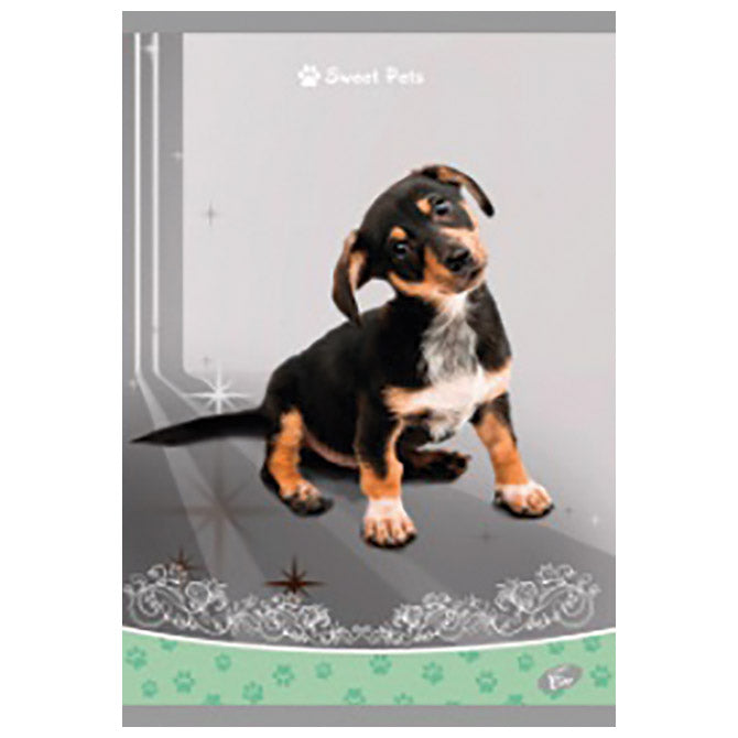TEKA MEKI UVEZ A4 KARO 40 PLUS 2L 80G SWEET PETS ELISA