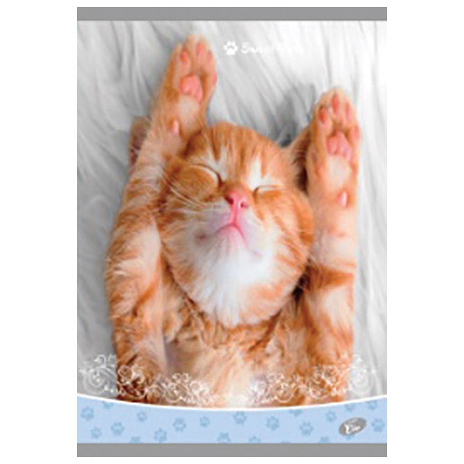 TEKA MEKI UVEZ A4 KARO 40 PLUS 2L 80G SWEET PETS ELISA