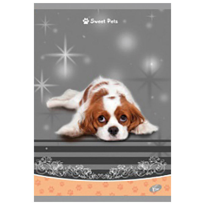 TEKA MEKI UVEZ A4 KARO 40 PLUS 2L 80G SWEET PETS ELISA