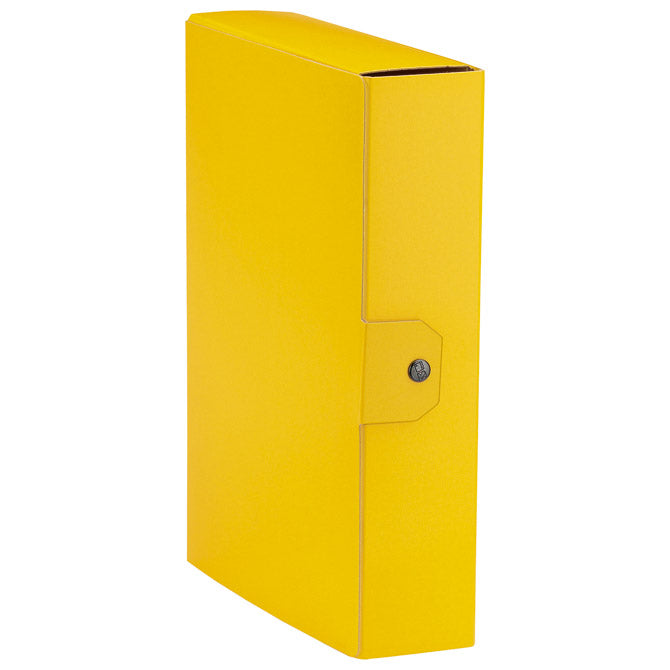 MAPA Z GUMBOM HRBET - 80MM A4 DELSO LINE ESSELTE C8809/390388090 RUMENA