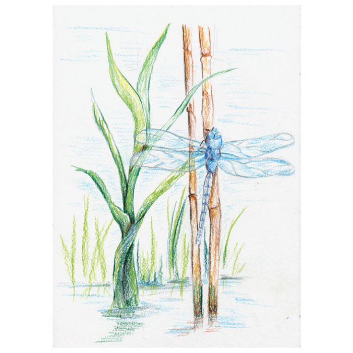 BOJE DRVENE-VODENE  12BOJA AQUARELL DESIGN JOURNEY STAEDTLER 14610C C12 BLISTER