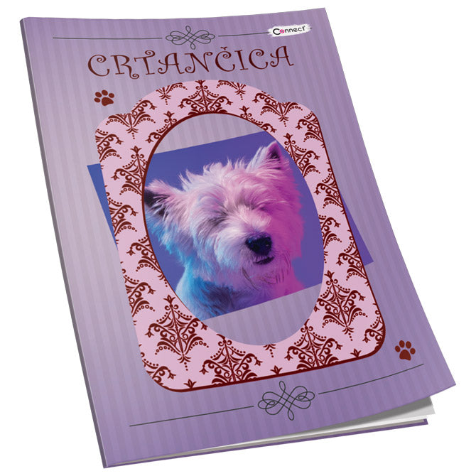 OBRAZAC ŠKOLSKI CRTANČICA ZA 1RAZRED SOFT PLUS  CONNECT GIRL