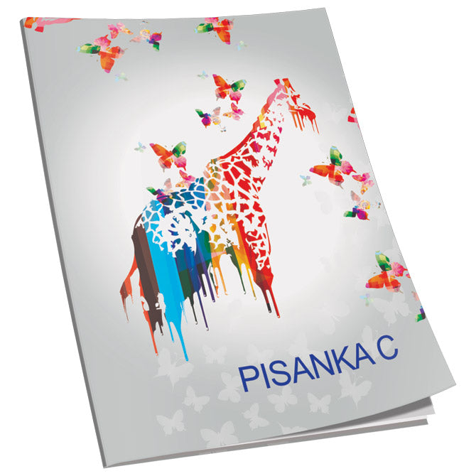 OBRAZAC ŠKOLSKI PISANKA "C" ZA 2 I 3RAZRED SOFT PLUS  CONNECT GIRL