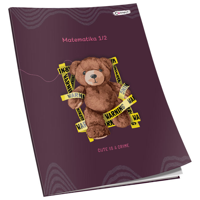 OBRAZAC ŠKOLSKI MATEMATIKA ZA 1 I 2RAZRED SOFT PLUS  CONNECT GIRL