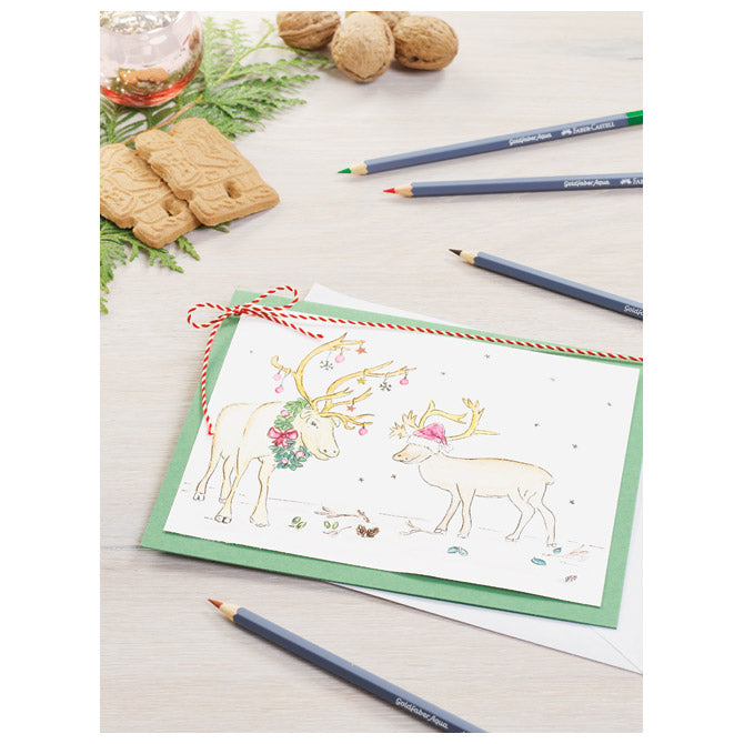Set risb Goldfaber Aqua Faber Castell 114616