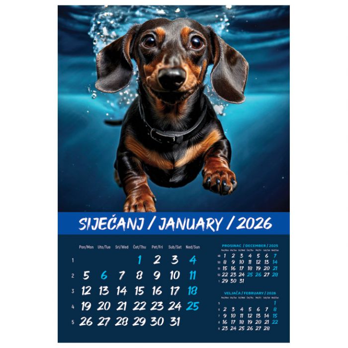 KALENDAR "KUĆNI LJUBIMCI 2026" 13 LISTOVA, SPIRALA