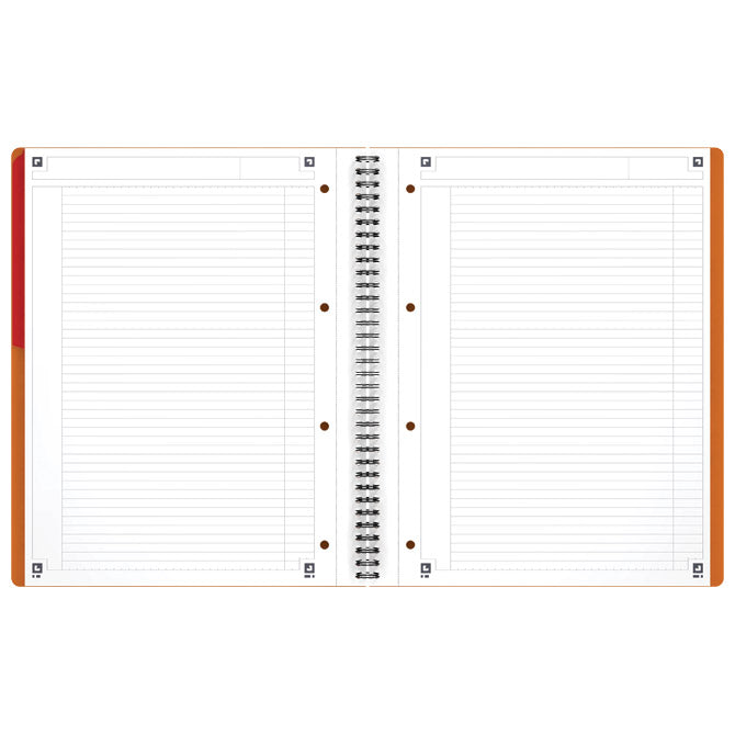 BLOK KOLEGIJ A4 CRTE 80L PERFORACIJA PLUS 4RUPE ACTIVEBOOK OXFORD 100102994