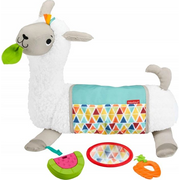 Fisher-Price GHJ03 igračka za učenje