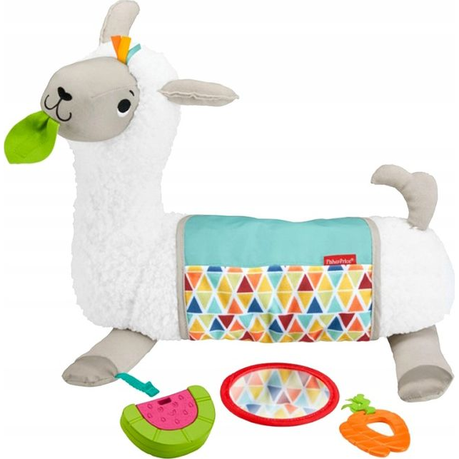 Fisher-Price GHJ03 igračka za učenje
