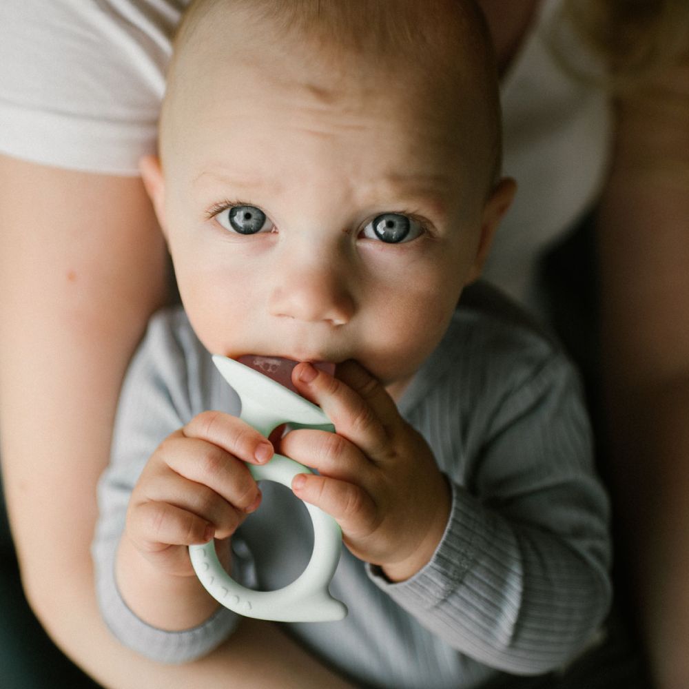 BabyOno Grickalica za zube Puž, mint-roza