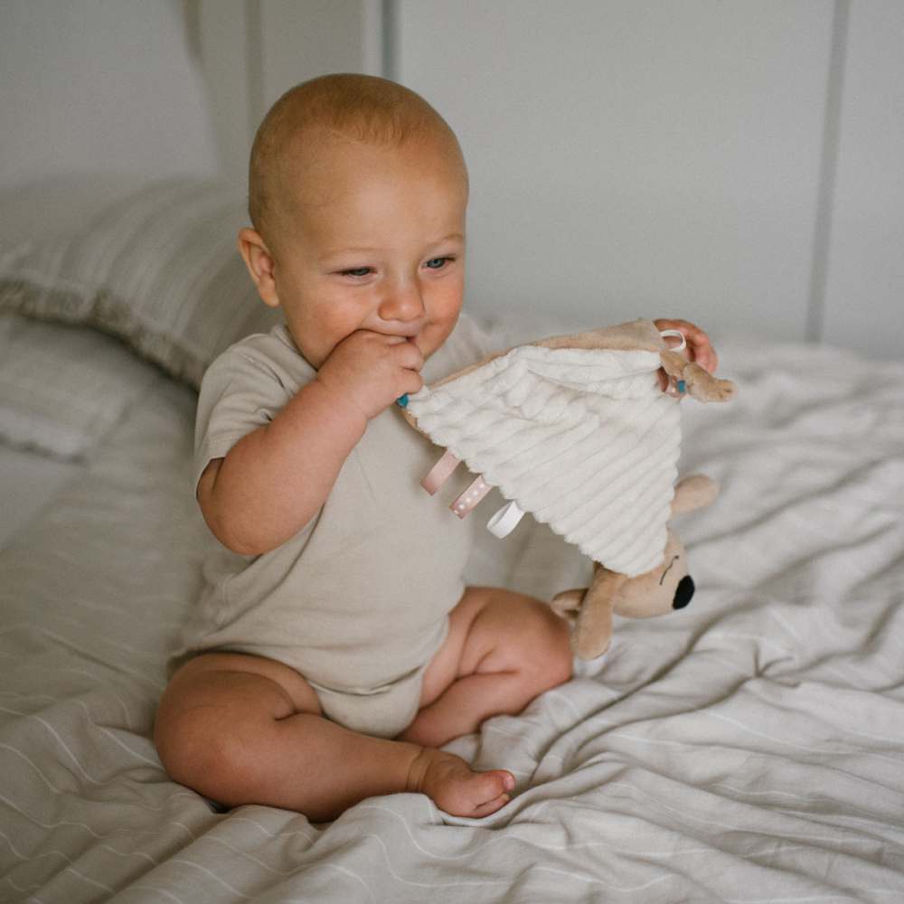 BabyOno Tješilica koala Charlie