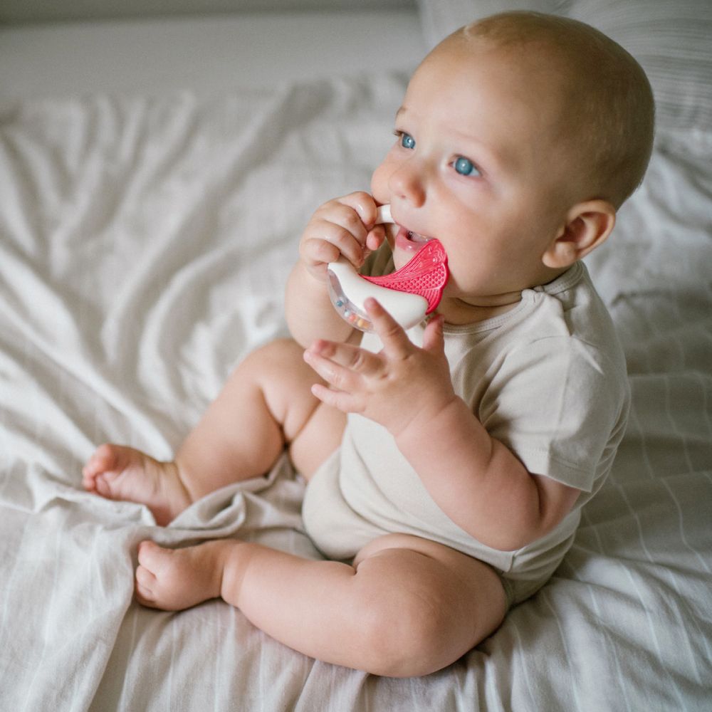 BabyOno zvečka s grickalicom, Labud