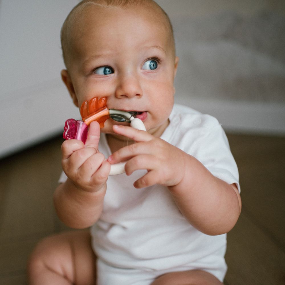 BabyOno zvečka s grickalicom, Voće