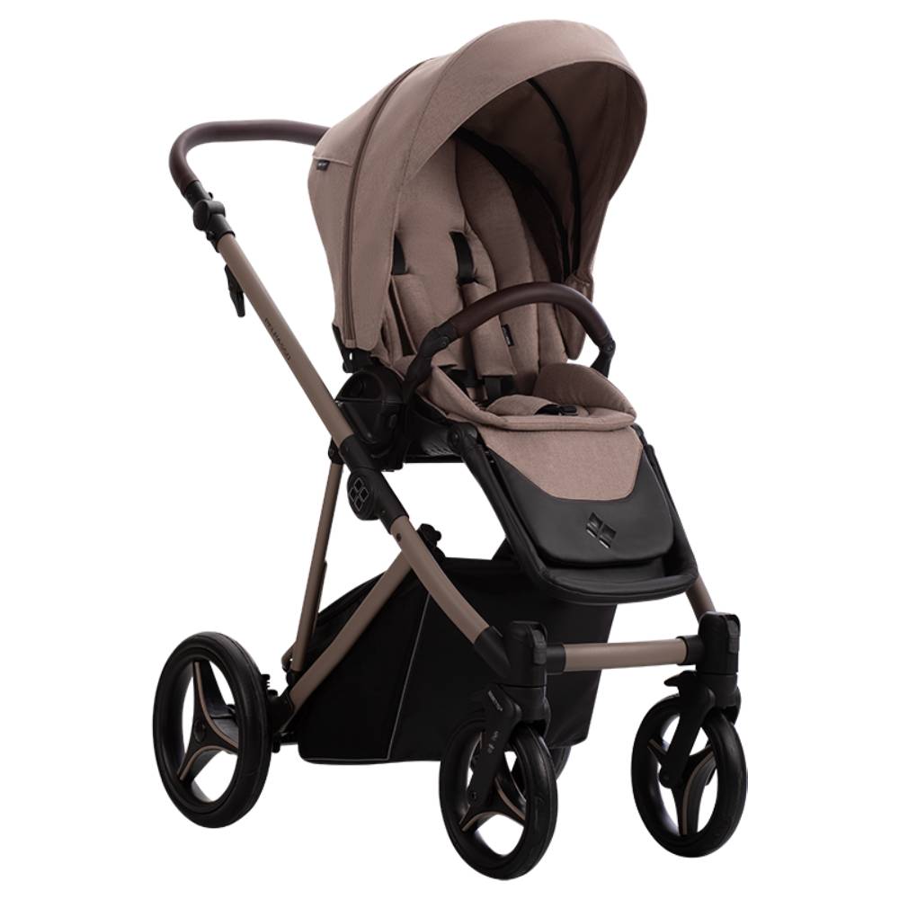Dječja kolica Bebetto Pelpasso 02/Cashmere 2u1