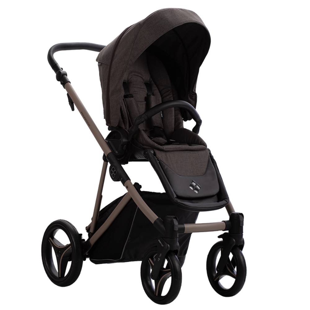 Dječja kolica Bebetto Pelpasso 03/Cashmere 3u1 B