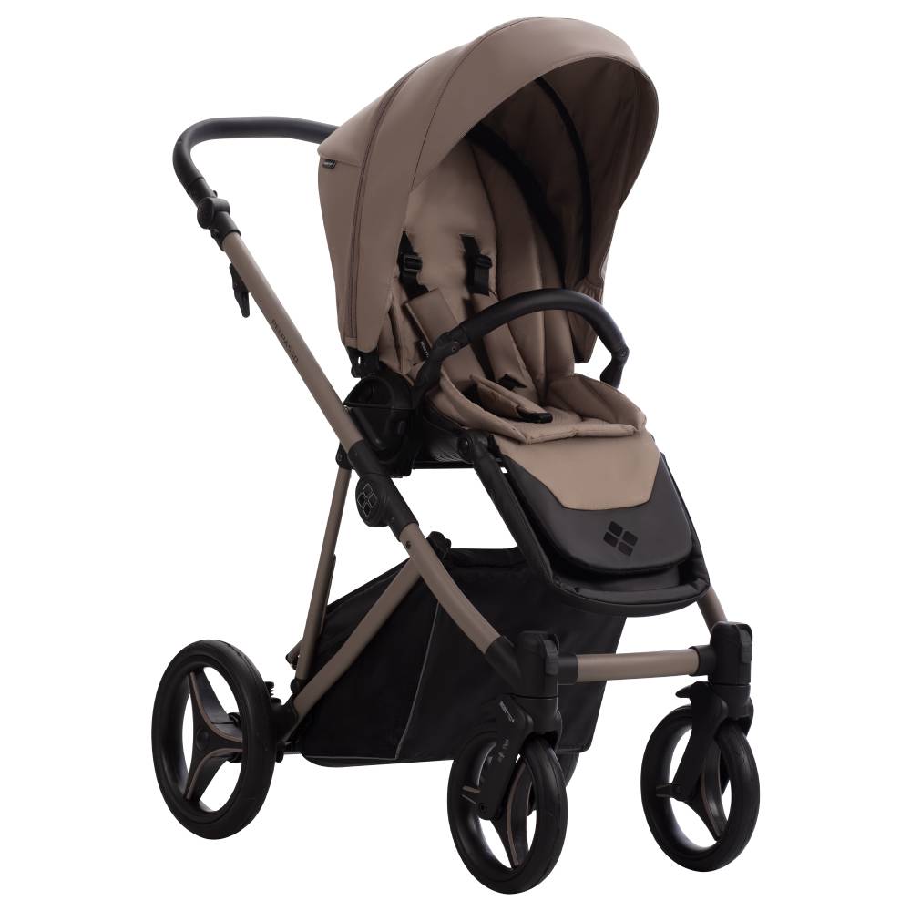 Dječja kolica Bebetto Pelpasso PRO 04/Cashmere 3u1 B