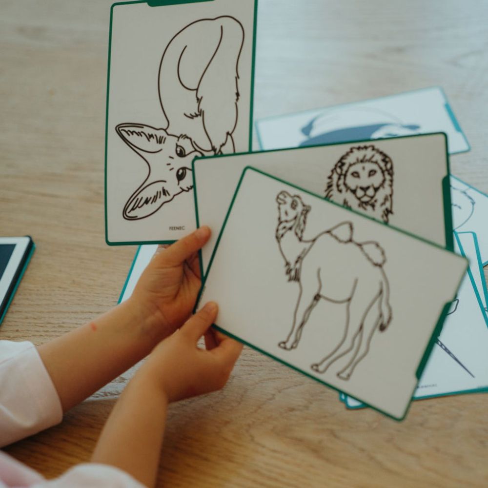 KIDYWOLF Tablet za crtanje - Životinje svijeta