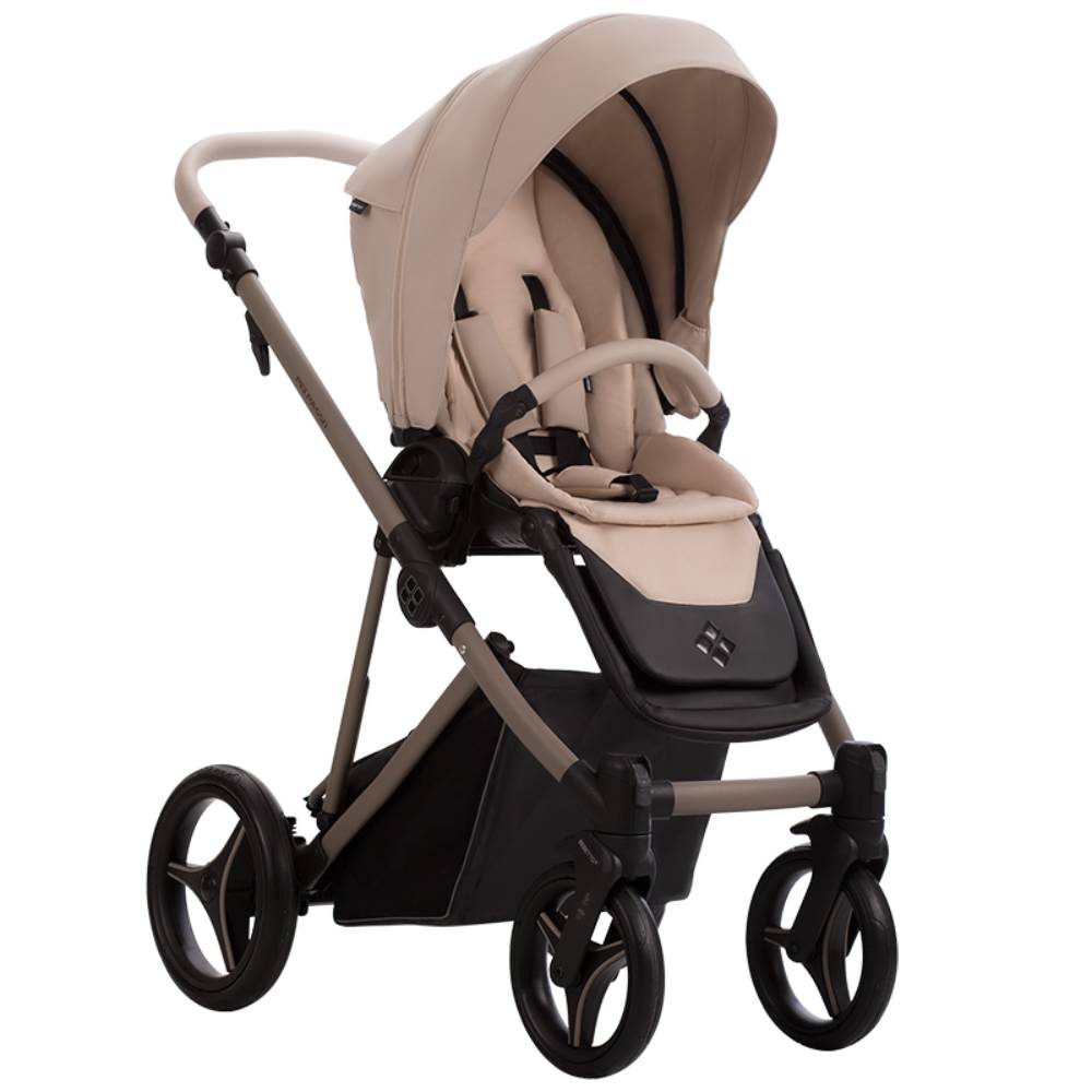 Dječja kolica Bebetto Pelpasso PRO 02/Cashmere 3u1 B