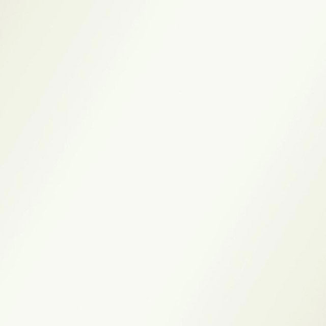 White Gloss 1106 GL