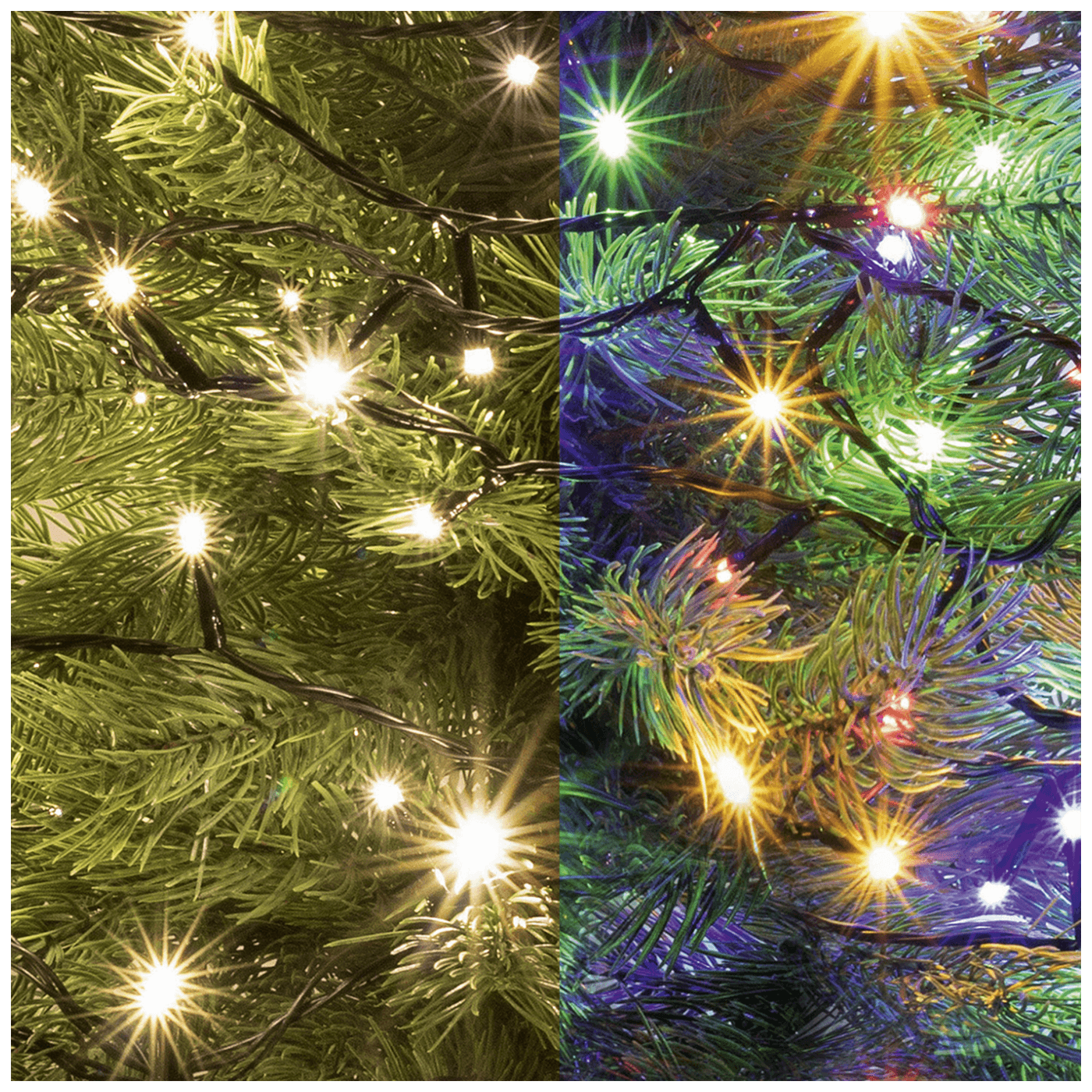home Dekorativna LED rasvjeta, 2u1, daljinski upravljač - LED 102R/WW/M