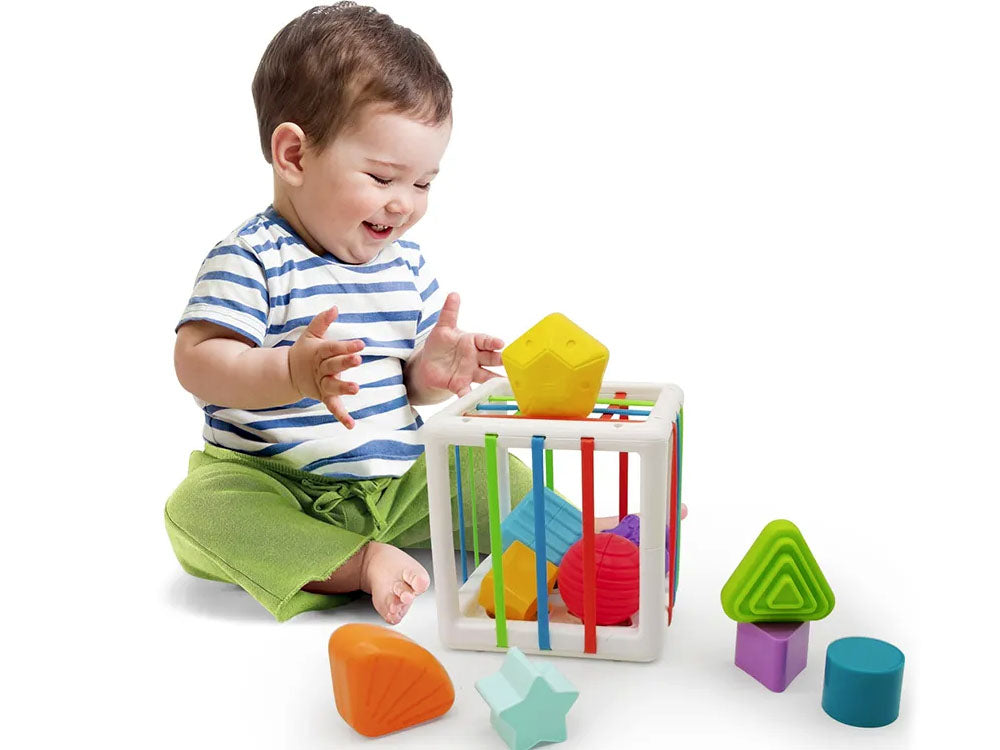 Edukativna baby kocka sorter