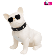 SAL Zvučnik bežični, Bluetooth, FM radio, USB, 5W - BT DOG