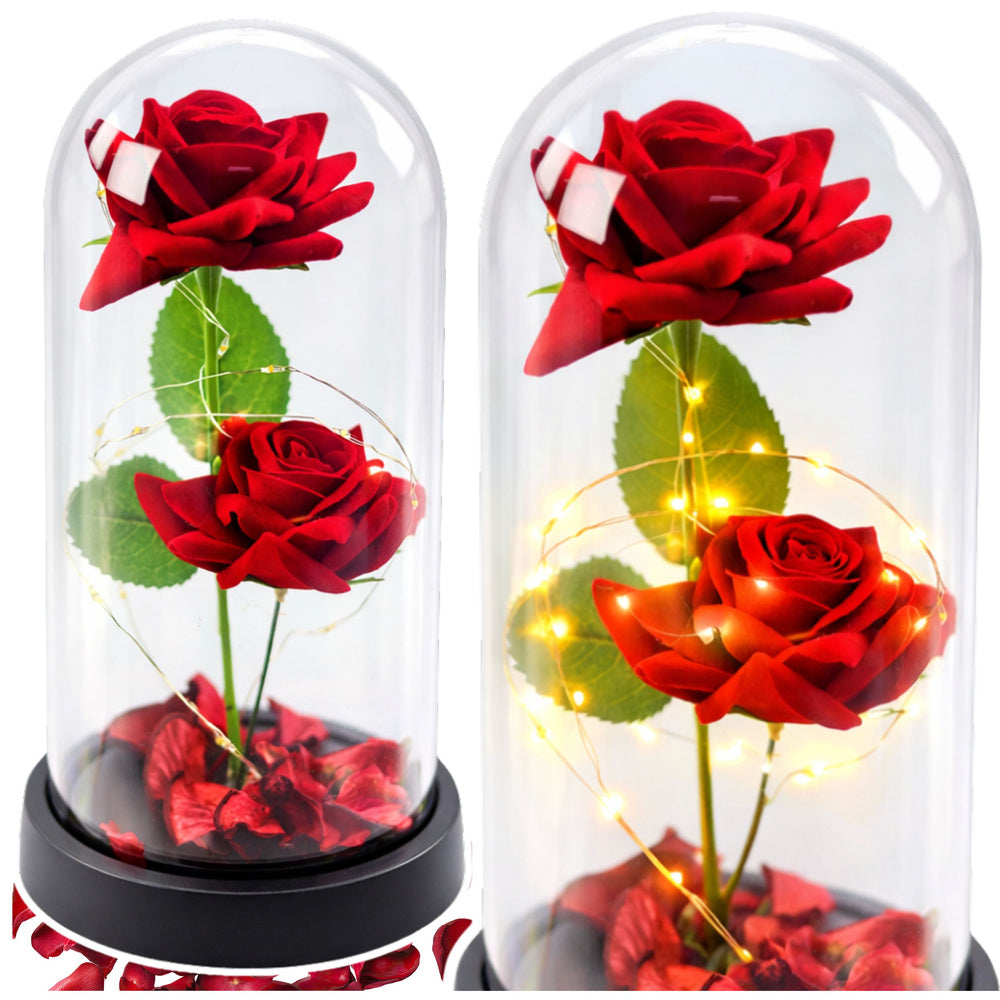 Eternal 2 Roses in Dome with LED Lighting and Rose Petals Red 21x11cm