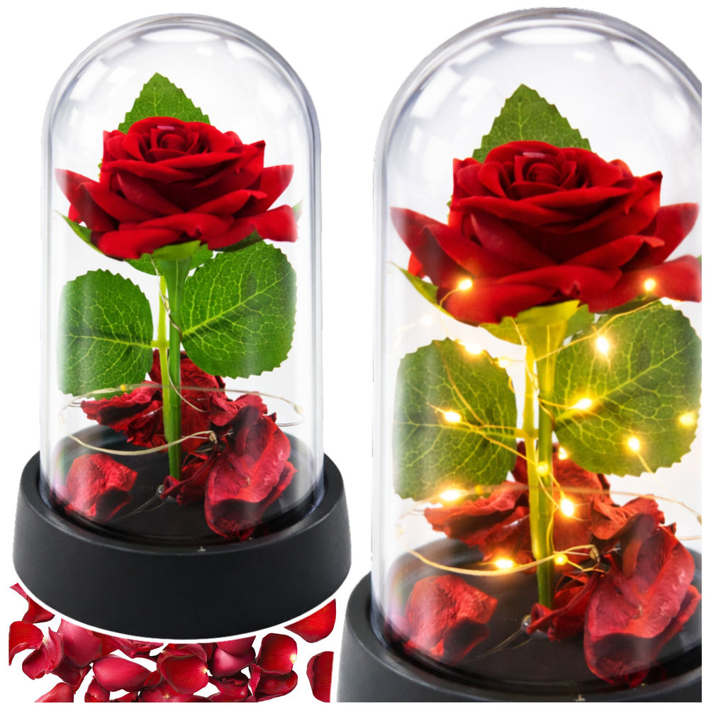 Eternal Rose in Dome with LED Lighting Red with Rose Petals 14x8cm