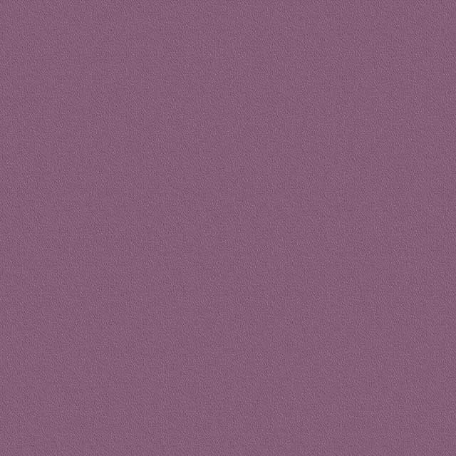 Viola 27167 BS
