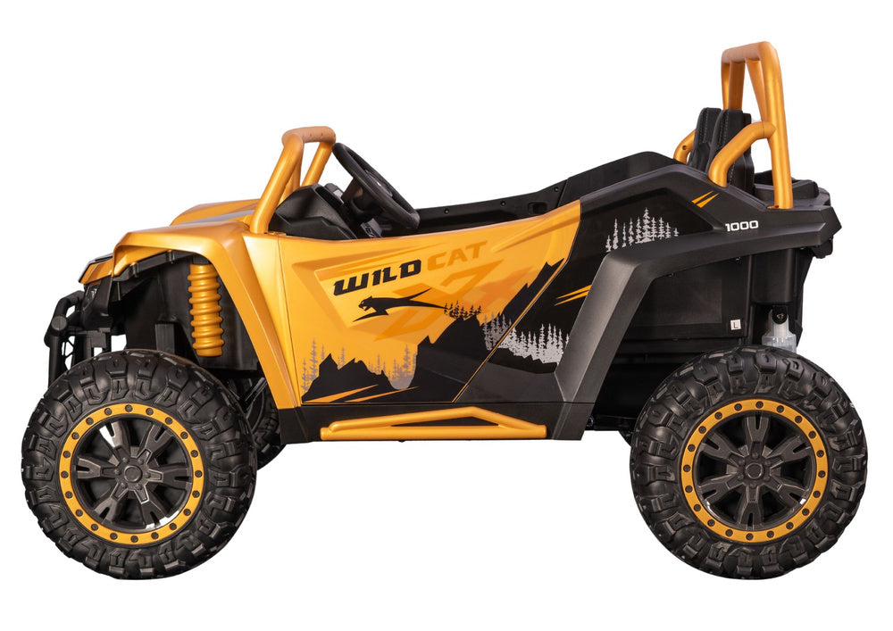 Arctic Cat WILDCAT XX 24V14AH Gold Buggy Battery Vehicle