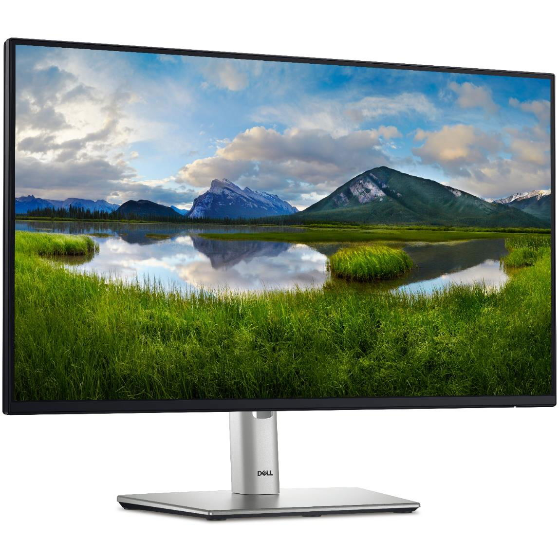 DELL P Series P2425HE računalni monitor 61 cm (24") 1920 x 1080 pikseli Full HD LCD Crno