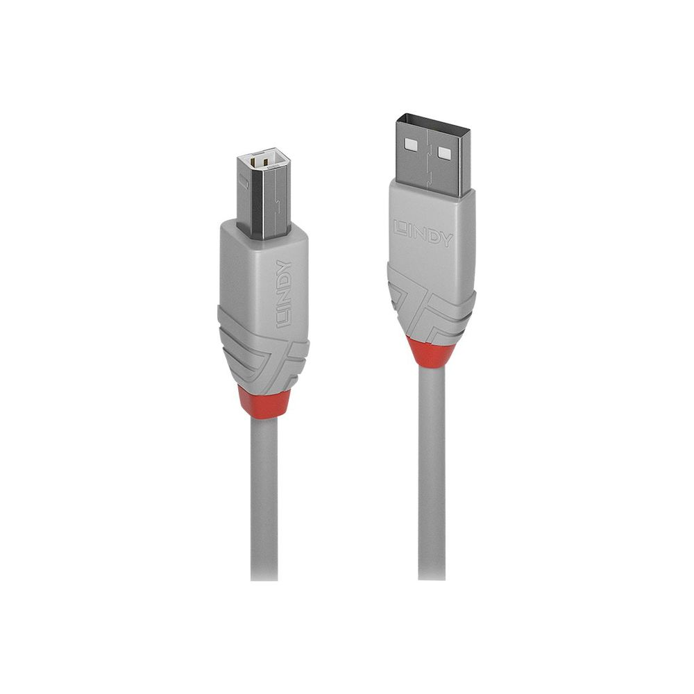 Lindy 36684 USB kabel 3 m USB 2.0 USB A USB B Sivo