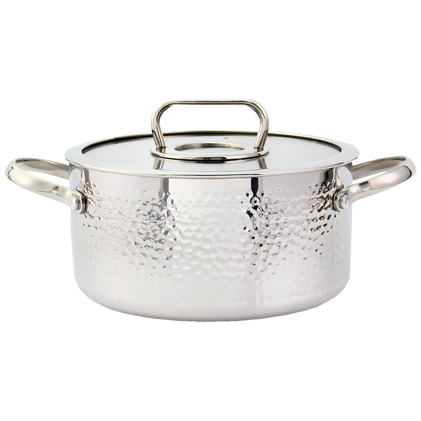 Zilan Lonac sa staklenim poklopcem, 20 cm, troslojno posuđe - ZLN1313