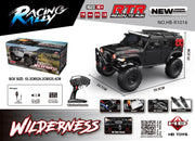 Auto na daljnisko upravljanje WILDERNESS RTR 1:10 - crni