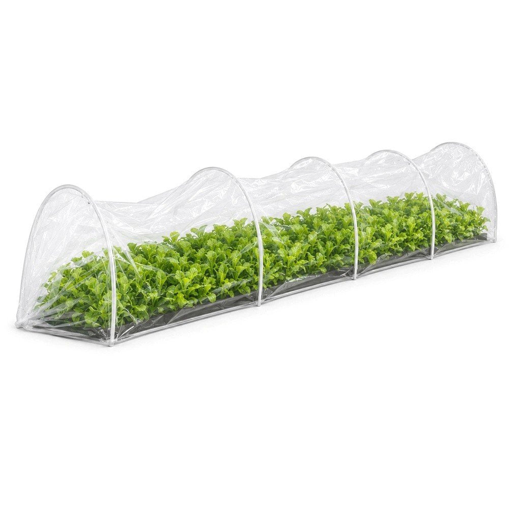 6848f24326e70829cfc6ee88_eng-pl-greenhouse-3-m-5285-1_1787069707765.jpeg