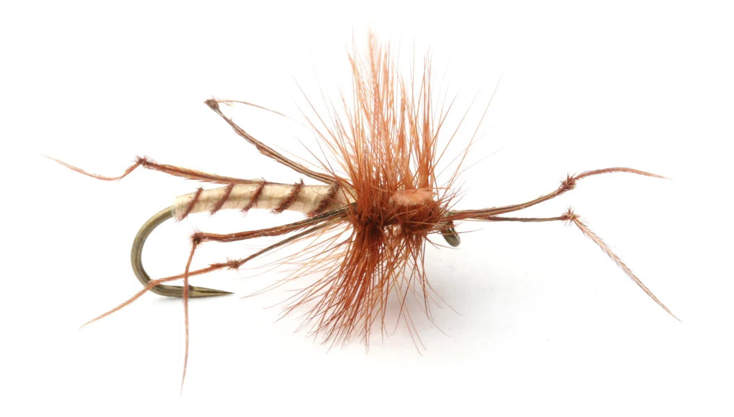 Daddy Long Legs #10 ribolovna muha