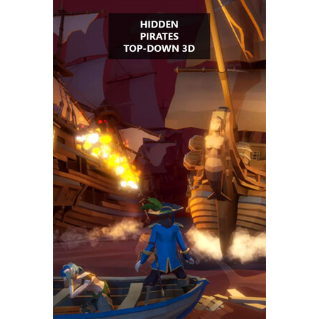 Hidden Pirates Top-Down 3D