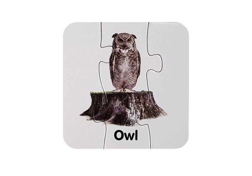 Educational Puzzle Wild Animals Puzzle 10 English Connections