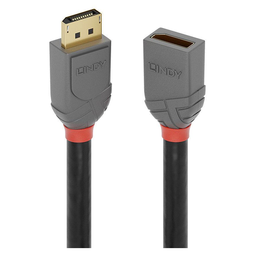 Lindy 36498 DisplayPort kabel 3 m Crno