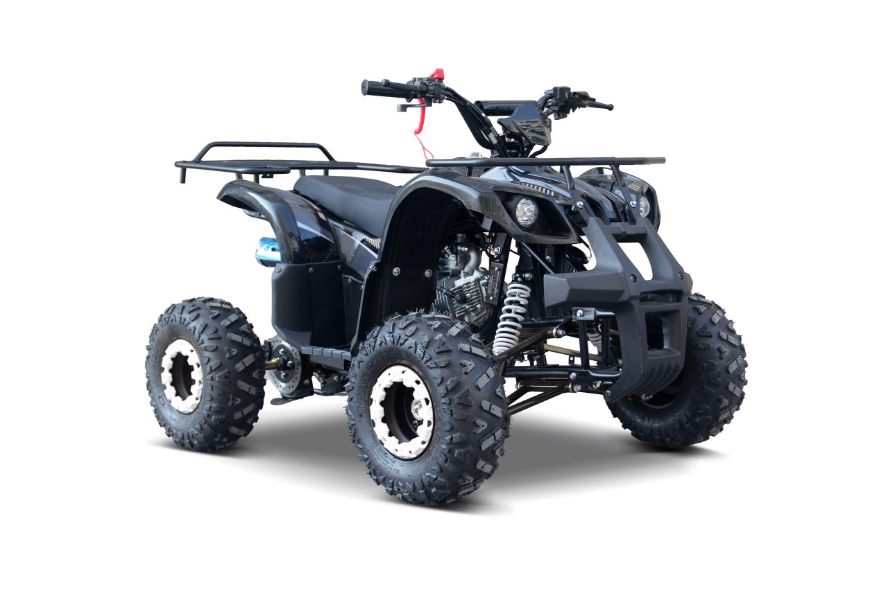 Quad na benzin WILDPEAK 110cc - crni